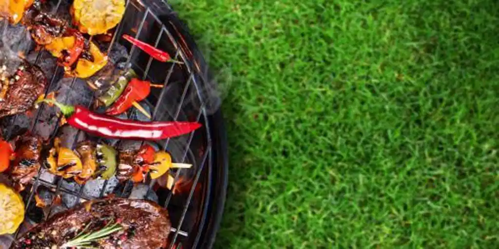 10 barbecue recipes that you have to try this summer