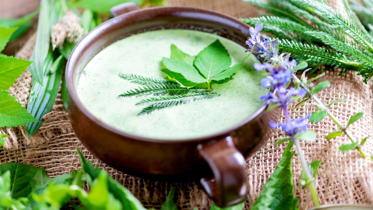 Giersch tastes delicious – for example in a soup made from wild herbs.